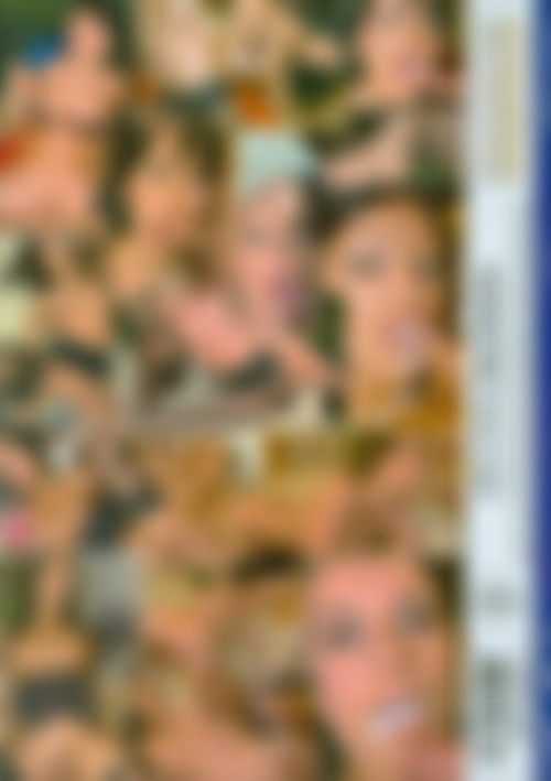 Spunk Junks back cover