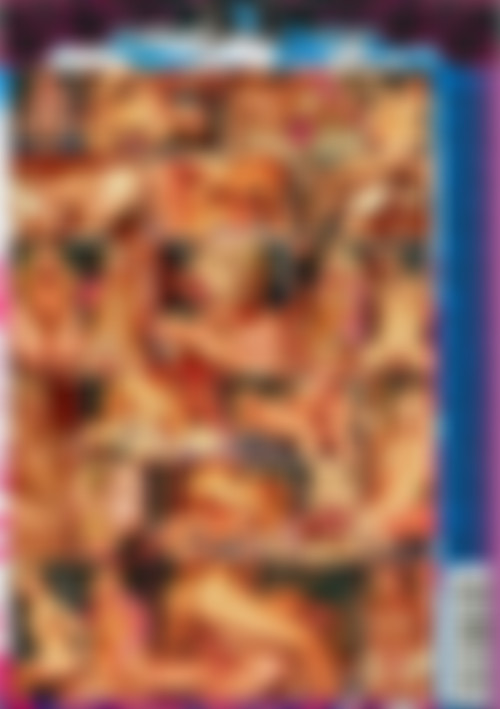 Blonde Anal Cravers back cover