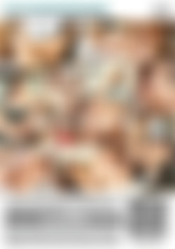 Sister Fantasy 3, The back cover