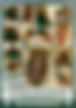 Hairy Honies 33 back cover