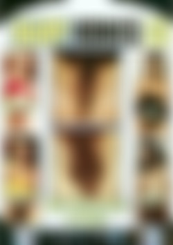 Hairy Honies 33 front cover