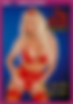 The Devil in Miss Jones II: The Devil's Agenda front cover