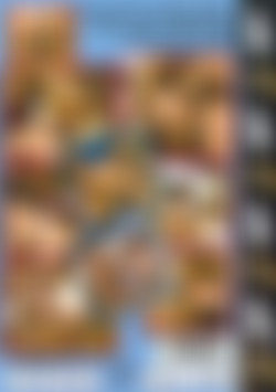 Teenie Sex Auf Ibiza 3 back cover