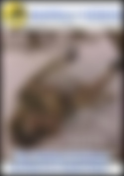 The Taming Of Joi Reno - Joi Reno vs. Leanna Foxxx front cover