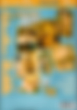 Mail Order Brides back cover