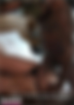 Cali Fucks Italian Cake front cover