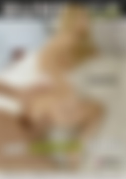 Hot Assfuck Babes Vol. 3 front cover