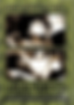 Grandpa's Finest Fucks front cover