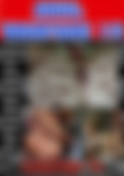 Anal Warfare 15 front cover