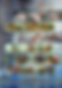 Xtreme Submissive Kink Volume 5 - Wet, Sloppy & Slutty back cover