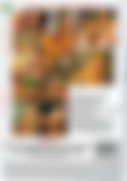 Puritan Video Magazine 27 back cover