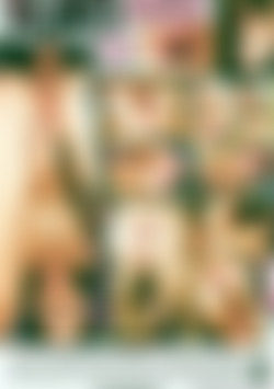 Young Anal Dolls back cover