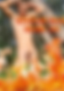 Discipline Tales Vol 344 front cover