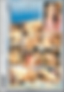 Gang Bang Babes back cover