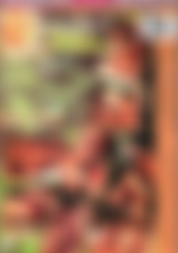 Anal Summer back cover