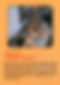 Limited Edition 107 - Honey Hole front cover