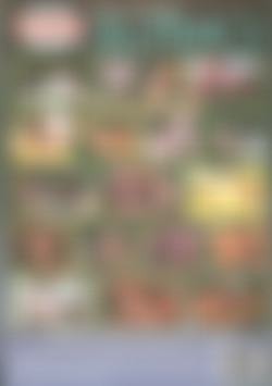 Sharon Mitchell's Slutbags back cover