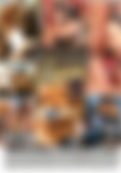 Cuckold Diaries 16 back cover