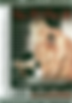 Use It Or Lose It back cover