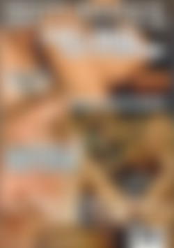 Fatt Asses back cover
