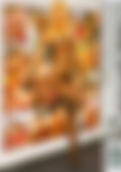 Net Nymphos 2 back cover