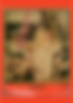 Toga Party back cover