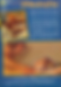 A Touch Of Sex back cover