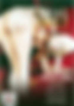 Anal Hell Vol. 4 front cover