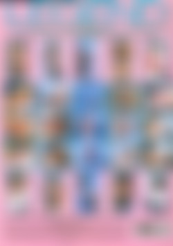 Lesbian Next Door, The back cover