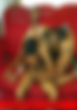 Beat My Tight Pussy Up front cover