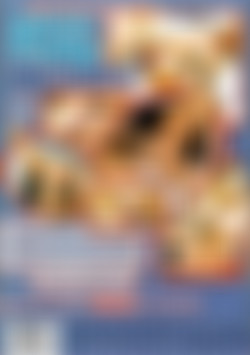 Girls Only: Blondes back cover