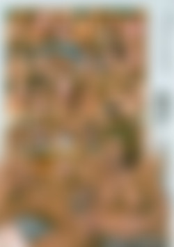 Big Boob Beauties back cover