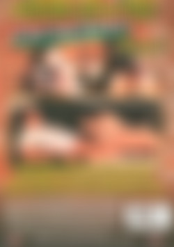 Golden Age Of Porn, The: Euro Style Vol. 1 back cover