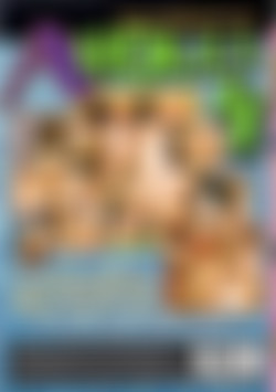 A Holes 4 back cover