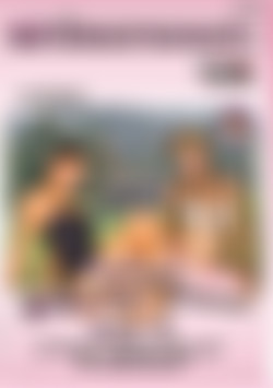 Alm Party Box Vol. 2 - Es Geht Weiter front cover