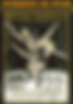 Blonde Ambition (Softcore) front cover