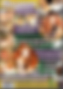 Hollywood Orgies: Nikki Dial back cover