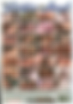 My Sister Does Anal back cover