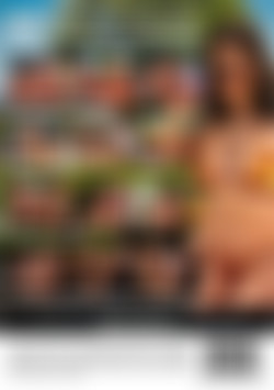 Hailey Rose Is Titwoman back cover