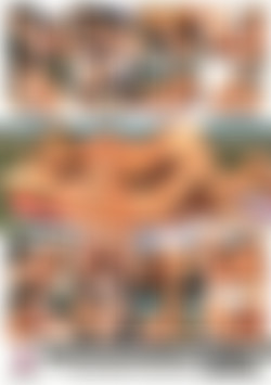 Majestic Lesbians back cover