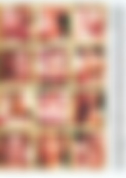 Pornstars Vol. 11: Ballistic Nuts back cover