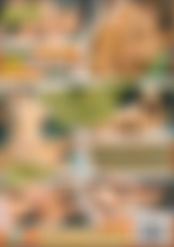 Vivid Girl Confidential: Taylor Hayes back cover