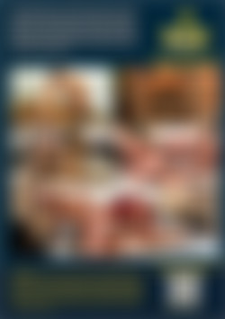 Connor Goes Bi back cover