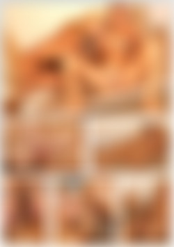 Lesbian Tribe: Donna & Terri back cover