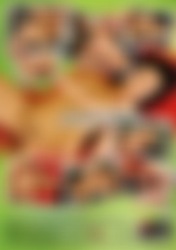 Fuck Those Chicks #4 back cover