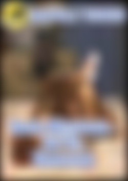 Dark Mistress - Joi Vs. Vanessa front cover