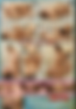 Art of Lesbian Love 2, The back cover