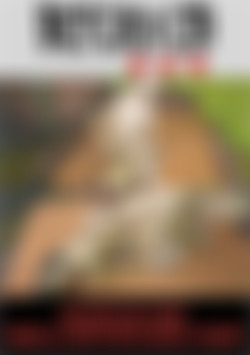 Defeated Sex Fight - Isabella Chrystin vs Nataly Cherry front cover