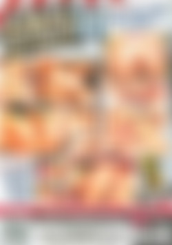 Anal Attack 11 back cover