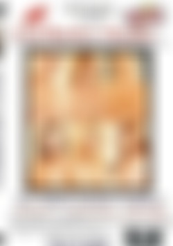 A Girl Watchers Paradise  The Street Clothes Audition 2067 front cover